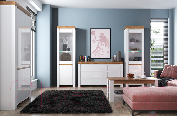 Изображение товара Шкаф Anrex Taurus 2DG (белый глянец/дуб вотан)