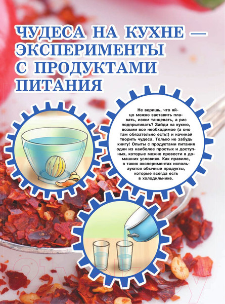 Изображение товара Книга АСТ Большая книга опытов и экспериментов для мальчиков (Вайткене Л.)