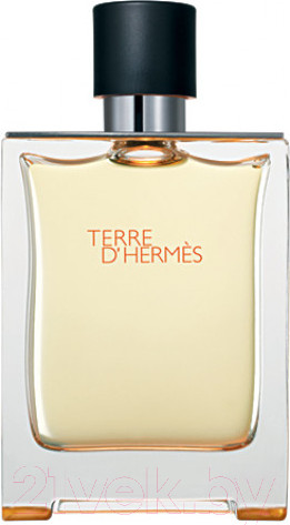 Изображение товара Туалетная вода Hermes Terre D`hermes for Men (30мл)