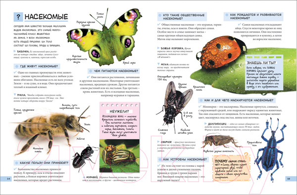 Изображение товара Энциклопедия Росмэн Большой подарок школьнику (Ачети Л., Скудери М.)