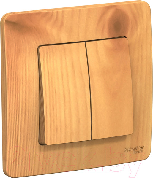 Изображение товара Выключатель Systeme (Schneider) Electric Blanca BLNVS010505