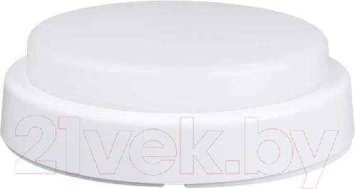 Изображение товара Светильник ЖКХ Gauss 126411208