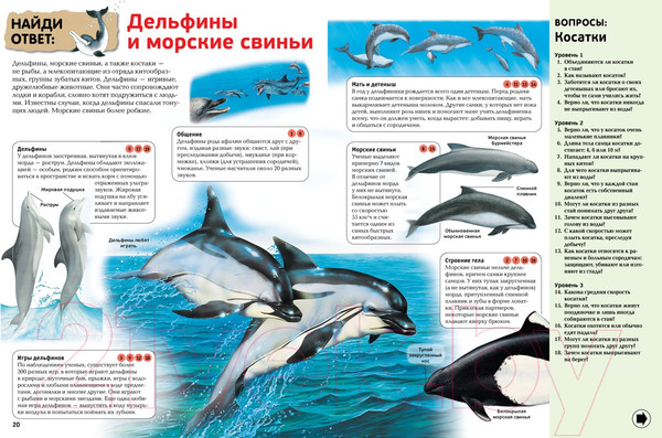 Изображение товара Энциклопедия Махаон Интерактивная энциклопедия для школьников