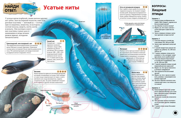 Изображение товара Энциклопедия Махаон Интерактивная энциклопедия для школьников