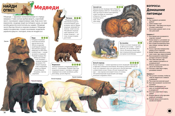 Изображение товара Энциклопедия Махаон Интерактивная энциклопедия для школьников