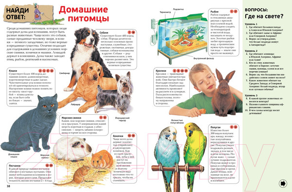 Изображение товара Энциклопедия Махаон Интерактивная энциклопедия для школьников