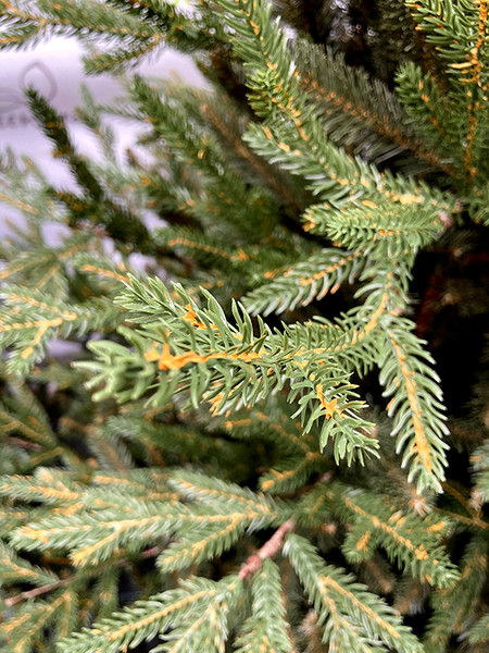 Изображение товара Ель искусственная GreenTerra Норвегия (1.8м)