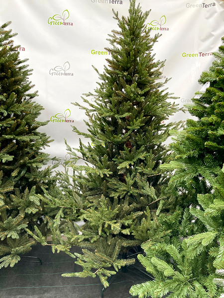 Изображение товара Ель искусственная GreenTerra Норвегия (1.8м)