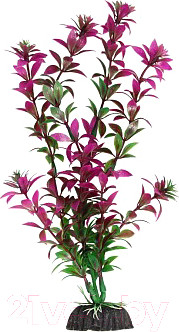 Изображение товара Декорация для аквариума Laguna Ротала 1046LD / 74044079 (сиреневый)