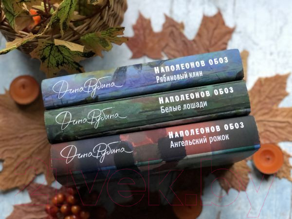 Изображение товара Книга Эксмо Наполеонов обоз. Ангельский рожок. Книга 3 (Рубина Д.)