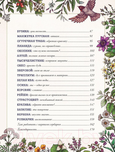 Изображение товара Книга Эксмо Магический гербарий (Толл М.)