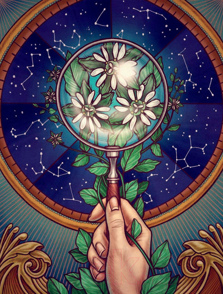 Изображение товара Книга Эксмо Магический гербарий (Толл М.)