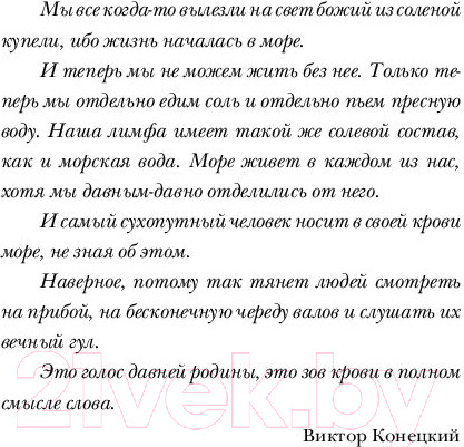 Изображение товара Книга АСТ Когда я вернусь, будь дома (Сафарли Э.)
