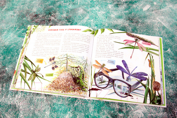 Изображение товара Энциклопедия АСТ Хочу все знать о животных (Танасийчук В.)