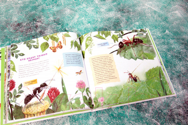 Изображение товара Энциклопедия АСТ Хочу все знать о животных (Танасийчук В.)