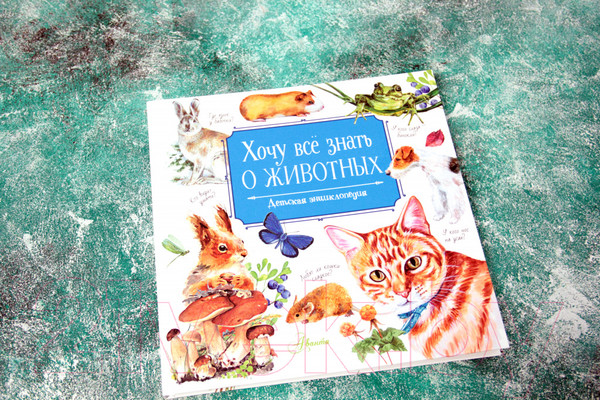 Изображение товара Энциклопедия АСТ Хочу все знать о животных (Танасийчук В.)
