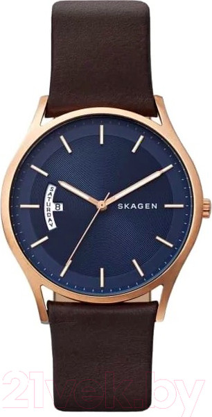 Изображение товара Часы наручные мужские Skagen SKW6395