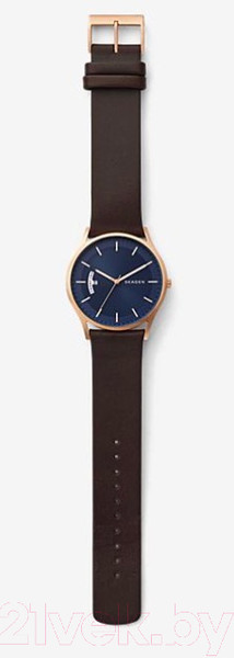 Изображение товара Часы наручные мужские Skagen SKW6395
