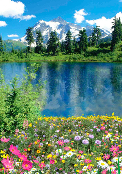 Изображение товара Фотообои листовые Твоя планета Люкс Алтайское лето (194x136)