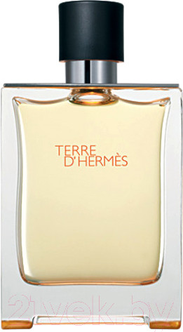 Изображение товара Туалетная вода Hermes Terre d'Hermes (100мл)