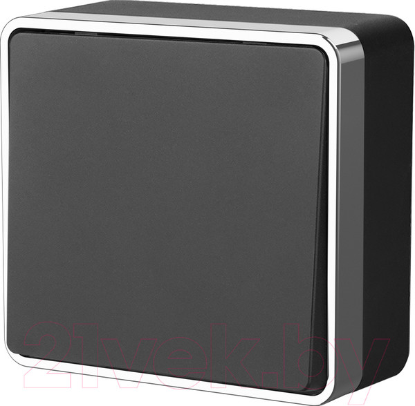 Изображение товара Выключатель Werkel Gallant WL15-01-03 / a041690 (черный/хром)