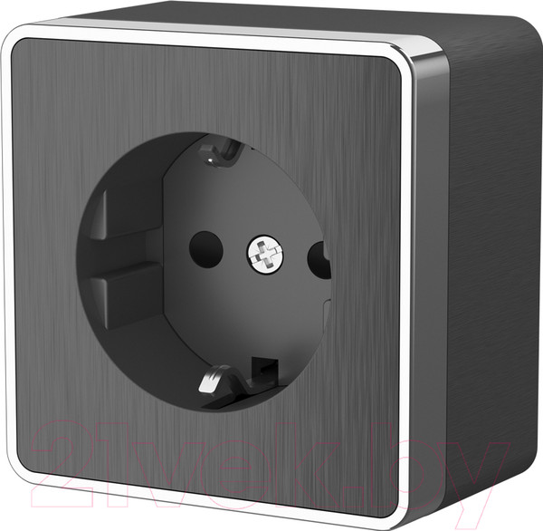 Изображение товара Розетка Werkel Gallant WL15-02-02 / a041397 (графит рифленый)