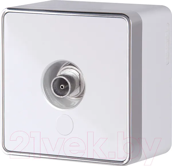 Изображение товара Розетка Werkel Gallant WL15-21-01 / a036768 (белый)