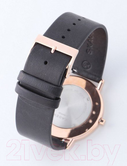 Изображение товара Часы наручные мужские Skagen SKW6430