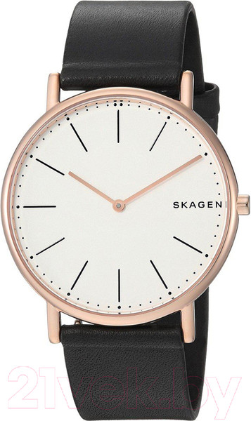 Изображение товара Часы наручные мужские Skagen SKW6430