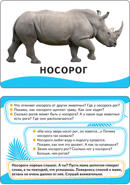 Изображение товара Развивающие карточки Росмэн Животные