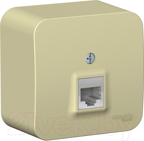 Изображение товара Розетка Systeme (Schneider) Electric Blanca BLNIA045007