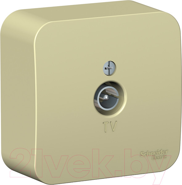 Изображение товара Розетка Systeme (Schneider) Electric Blanca BLNTA000017