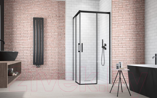 Изображение товара Душевая дверь Radaway Idea 387061-54-01R