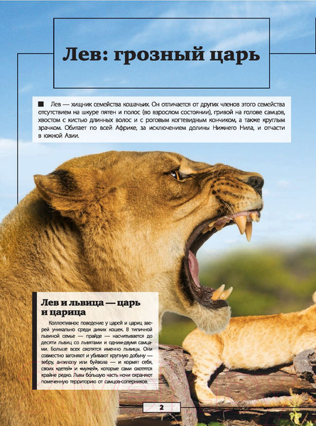Изображение товара Энциклопедия АСТ Животные нашей планеты (Кошевар Д., Папуниди Е.)