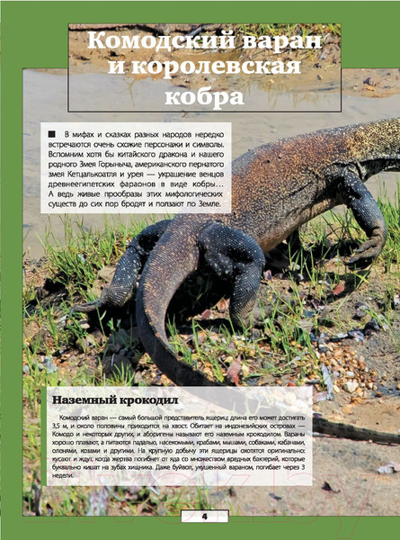 Изображение товара Энциклопедия АСТ Животные нашей планеты (Кошевар Д., Папуниди Е.)