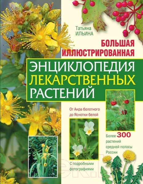 Изображение товара Энциклопедия Эксмо Иллюстрированная энциклопедия лекарственных растений (Ильина Т.)