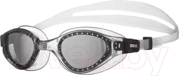 Изображение товара Очки для плавания ARENA Cruiser Evo Jr / 002510510 (черный)