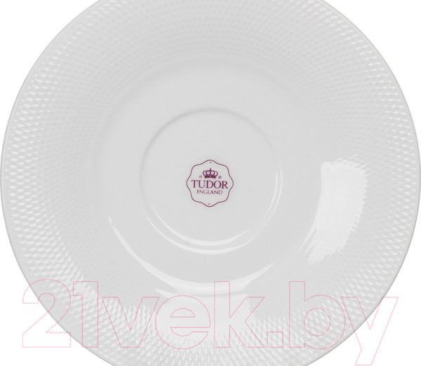 Изображение товара Чашка с блюдцем Tudor England TUC1062-4C