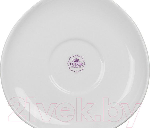Изображение товара Чашка с блюдцем Tudor England TU9999-4