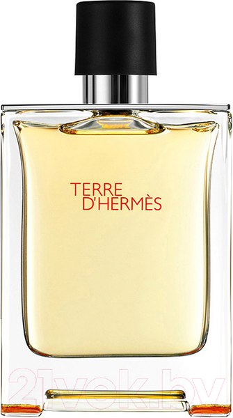 Изображение товара Туалетная вода Hermes Terre d'Hermes (50мл)