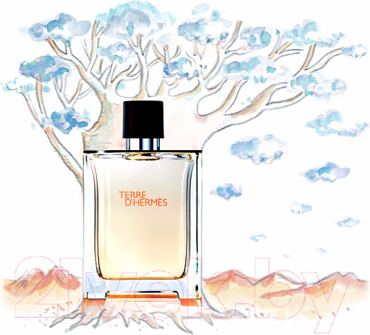 Изображение товара Парфюмерная вода Hermes Terre d'Hermes (15мл)