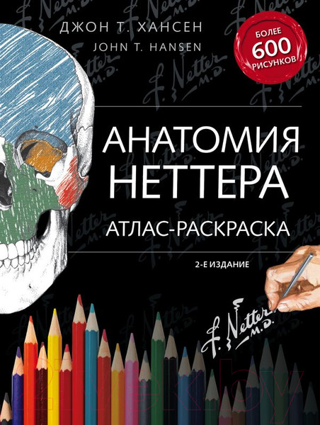 Изображение товара Нехудожественная книга Эксмо Анатомия Неттера: атлас-раскраска (Хансен Дж.)