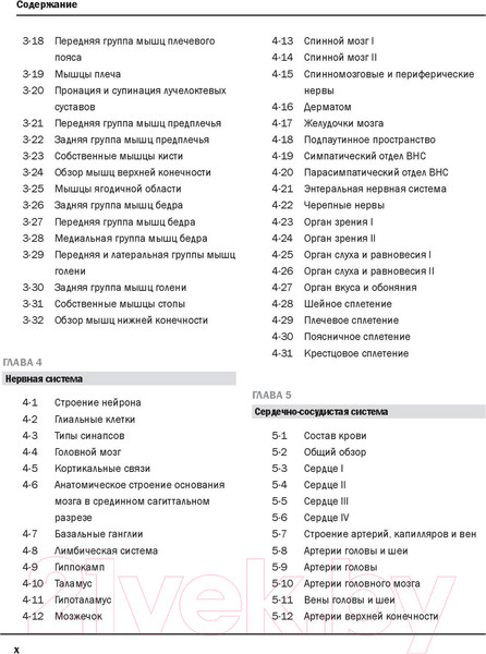 Изображение товара Нехудожественная книга Эксмо Анатомия Неттера: атлас-раскраска (Хансен Дж.)