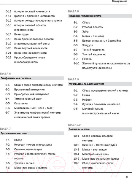 Изображение товара Нехудожественная книга Эксмо Анатомия Неттера: атлас-раскраска (Хансен Дж.)