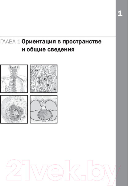 Изображение товара Нехудожественная книга Эксмо Анатомия Неттера: атлас-раскраска (Хансен Дж.)