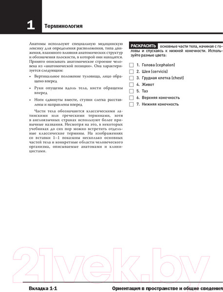 Изображение товара Нехудожественная книга Эксмо Анатомия Неттера: атлас-раскраска (Хансен Дж.)