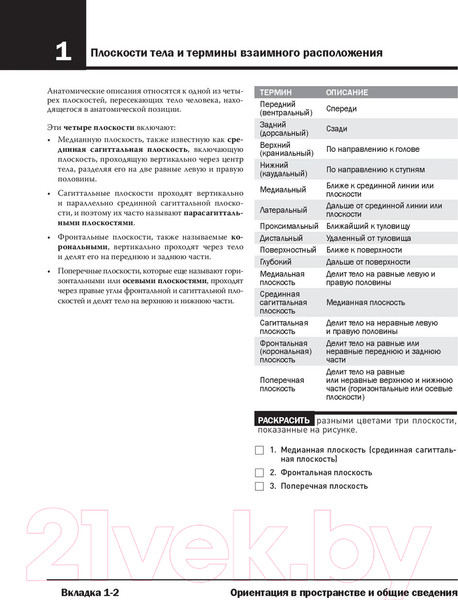 Изображение товара Нехудожественная книга Эксмо Анатомия Неттера: атлас-раскраска (Хансен Дж.)