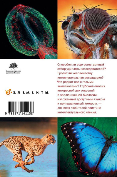 Изображение товара Книга АСТ Перспективы отбора (Марков А., Наймарк Е.)