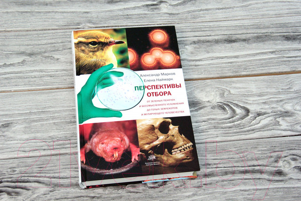 Изображение товара Книга АСТ Перспективы отбора (Марков А., Наймарк Е.)