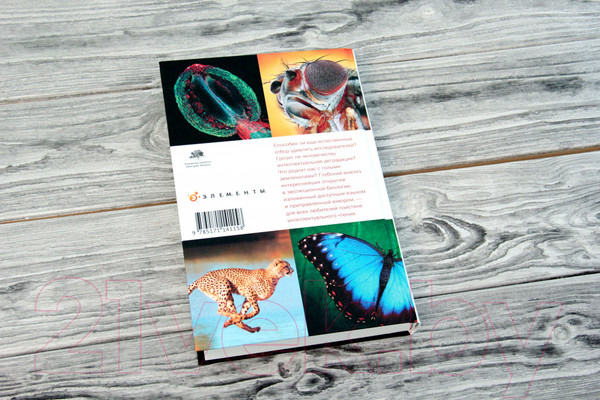 Изображение товара Книга АСТ Перспективы отбора (Марков А., Наймарк Е.)